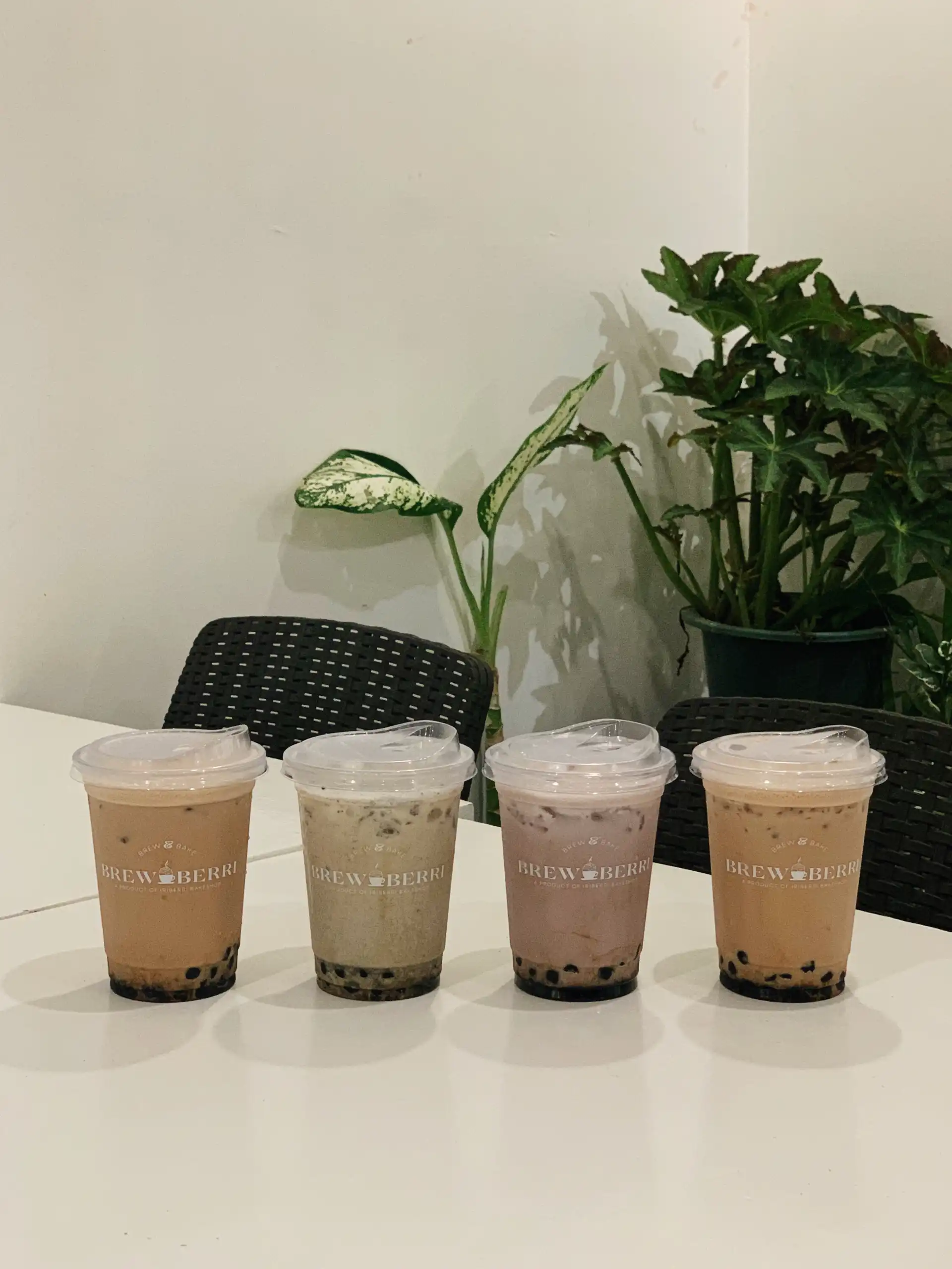 Milktea